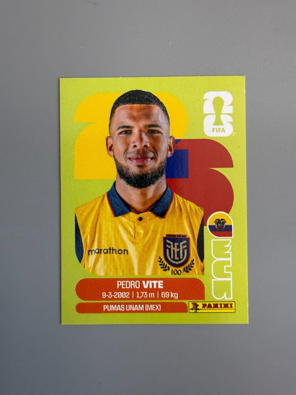 Panini Sammelbilder & Trading cards: Panini Pedro Vite ECU12 – Gebraucht aus Liebefeld von Ronaldo-1996