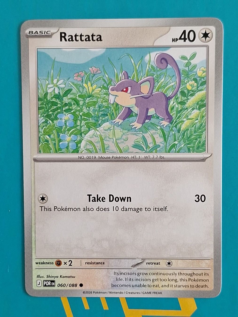 Pokémon Carte collezionabili: Rattata - Pokemon Perfect Order – Usato da Altstätten SG venduto da GGsGameshop