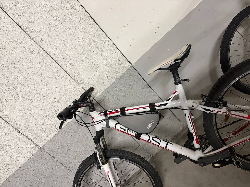 Biciclette: 3 x Fahrrad  – Usato da Eschen venduto da bakiedis 2
