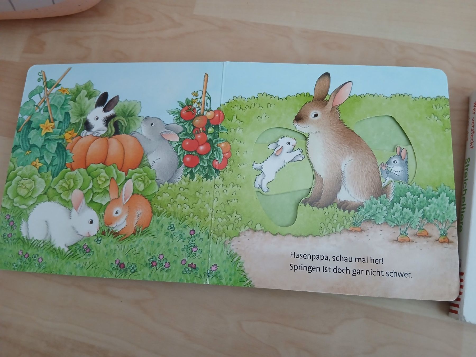 Bücher: 3 Kinder Bücher – Gebraucht aus Bronschhofen von magda_m 1