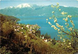 TI - Vira, Gambarogno