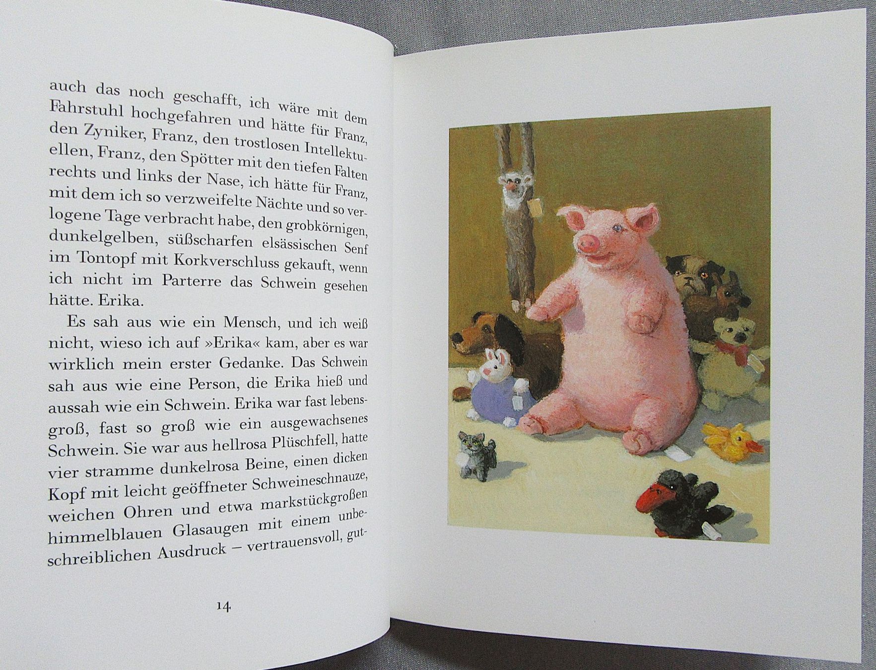 Libri: Erika oder der verborgene Sinn des Lebens - Elke Heidenreich – Usato da Auenstein venduto da Padabimbim 3