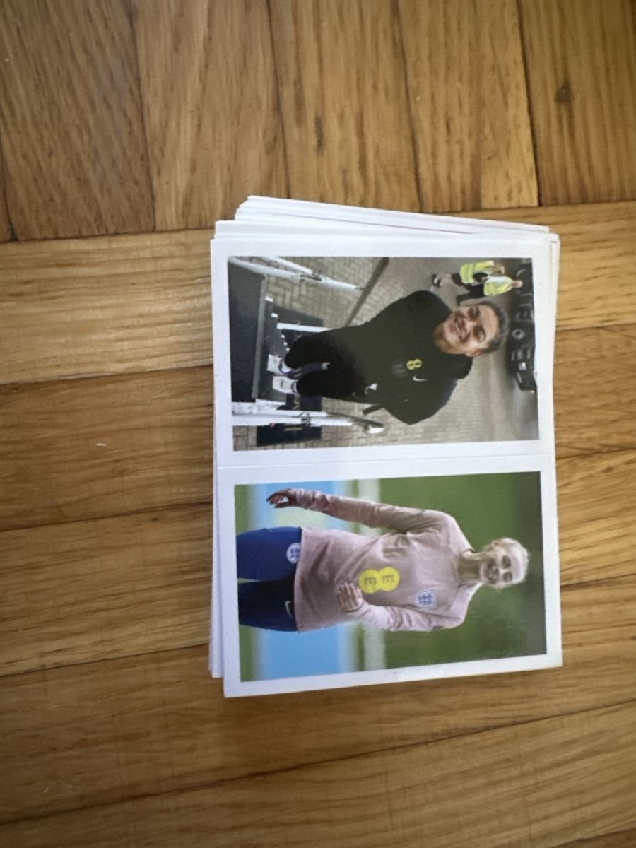 Panini Carte collezionabili: Panini England  lionesses 2025 – Nuovo (secondo la descrizione) da Onex venduto da vik_2fny