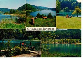 Gruss vom Türlersee