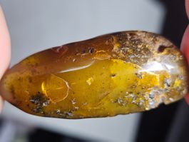 13,1gr Rohbernstein lot 2st echt Roh Bernstein baltisch raw