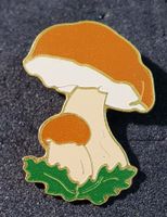 GG522 - Schmid Müller SWISS Made Design Pin Pilz - Boletus
