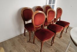 6x Royal Stühle gepolstert - top Zustand
