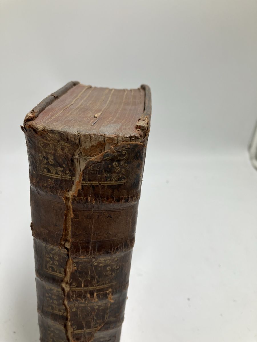 Libri: Alte Bibel – Usato da fribourg venduto da Retroverso 1