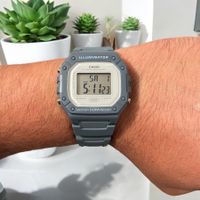 Casio Armbanduhren W-218HC-2AVDF