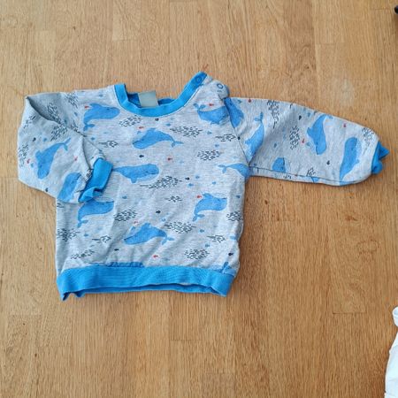 Pullover Grösse 68