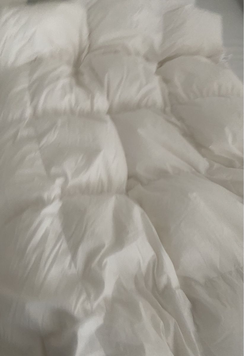 Coperte: Daunen Duvet 🌸 – Usato da Opfikon venduto da Luis144