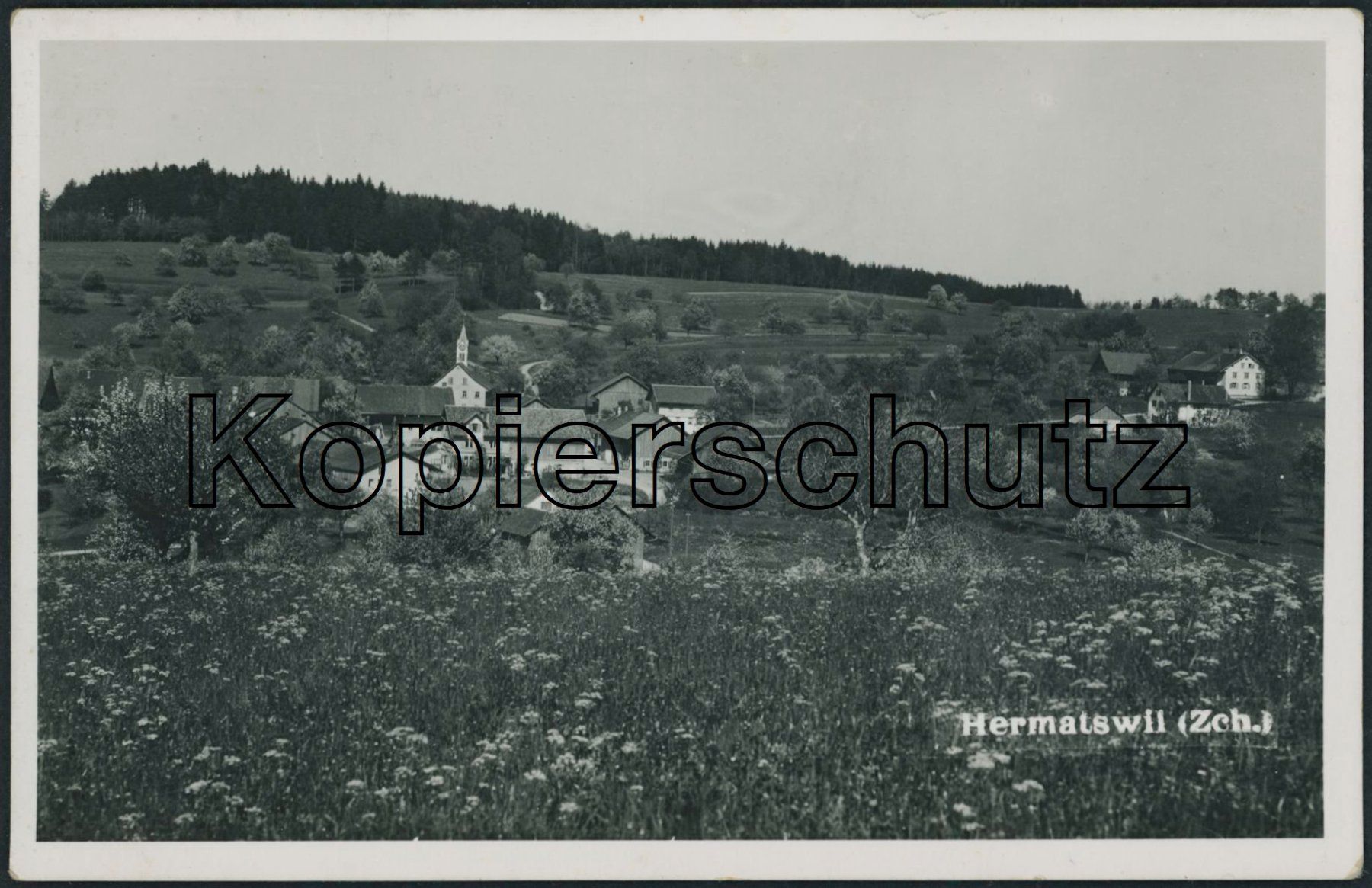 Cartoline postali: ZH Hermatswil - Pfäffikon – Nuovo (secondo la descrizione) da Schindellegi venduto da leecollect