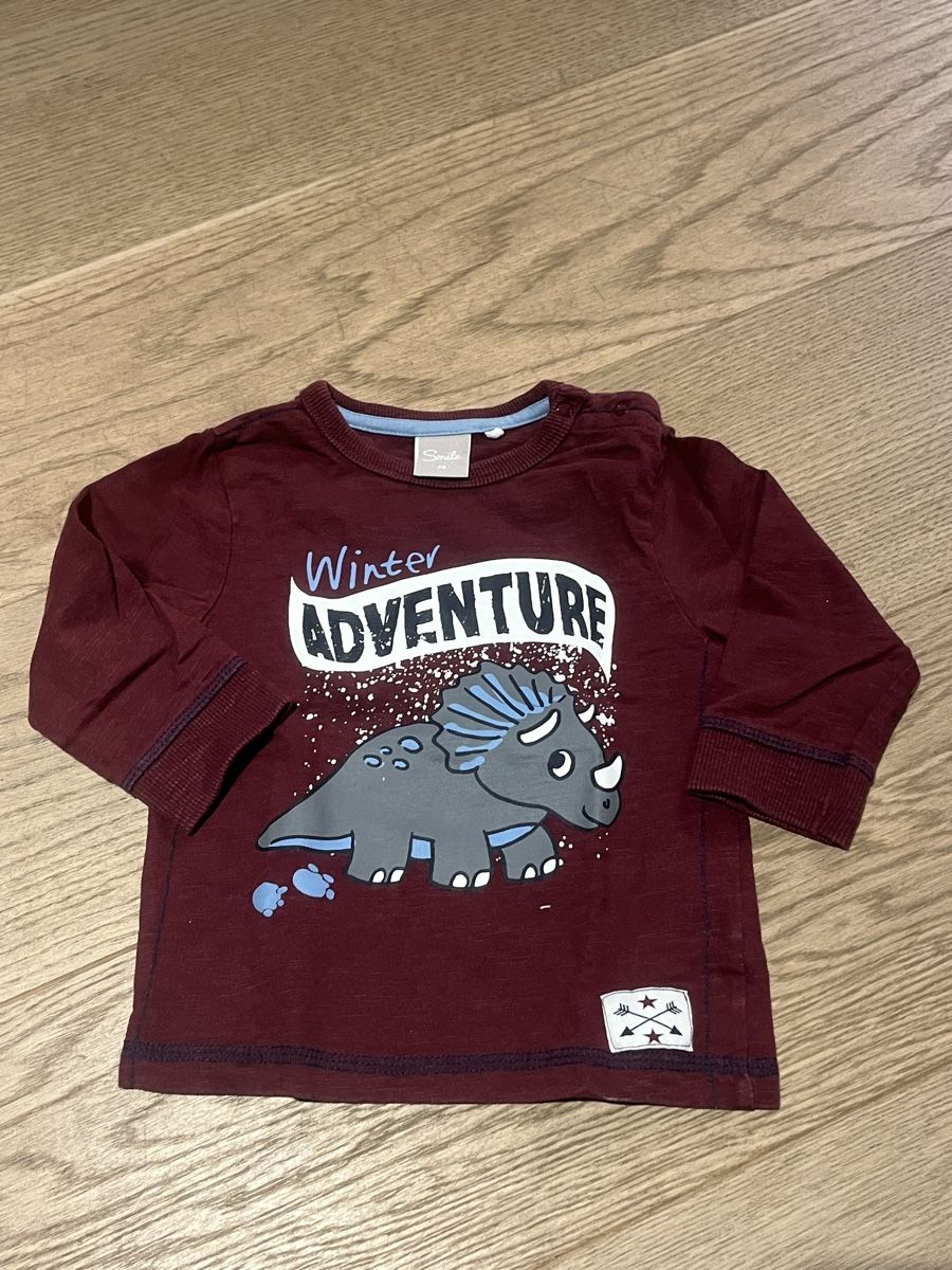 Pullover & Sweatshirts: Baby Pullover Dinos Motiv – Gebraucht aus Embrach von Laura2386