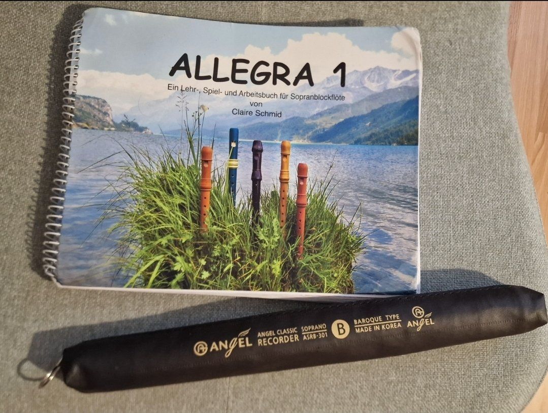 Strumenti musicali: Blockflöte und Allegra 1 Buch – Usato da Schüpfen venduto da ann_9zfs