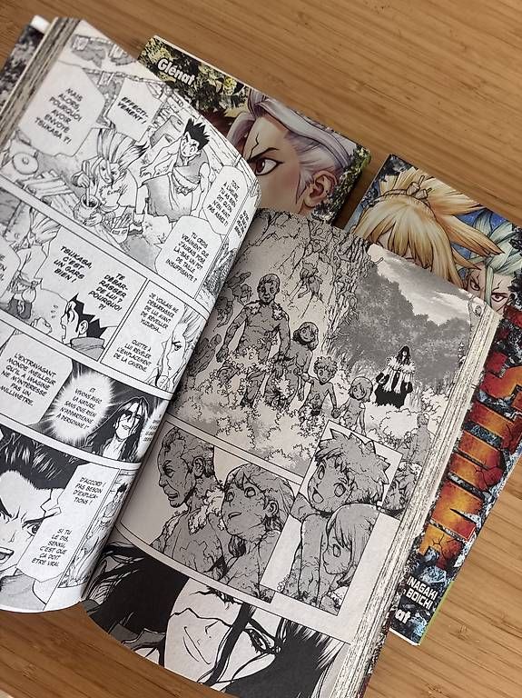 Fumetti: Manga Dr. Stone 1-3 – Usato da Châtelaine venduto da Amb-Bre