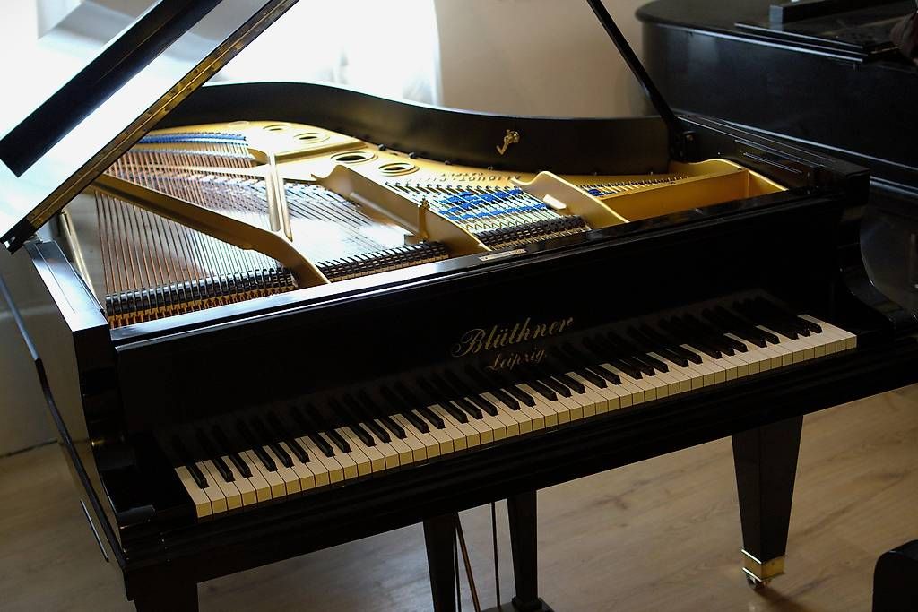 Blüthner Musikinstrumente: Flügel Blüthner 190cm Aliquot – Gebraucht aus Küttigen von PianoSarbach 3