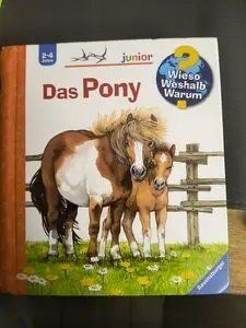 Libri: Kinderbuch Das Pony Pop-Up – Usato da Oberweningen venduto da Bumblebee2