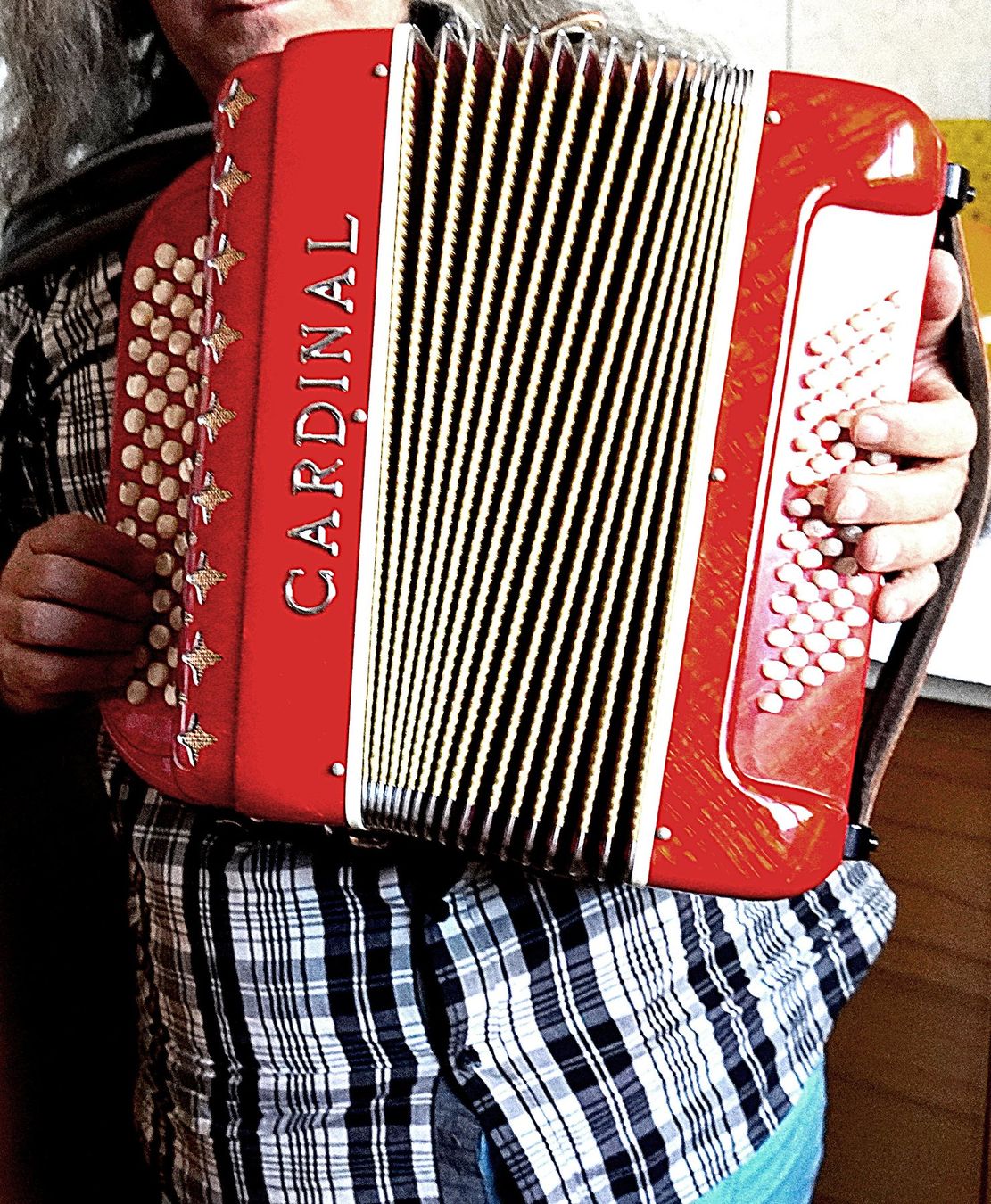 Strumenti musicali: Handorgel Cardinal 60 Bass 2 Chörig – Usato da Baar venduto da 2cvbaar 5