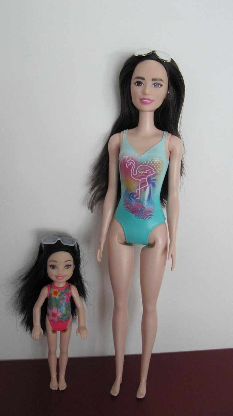 Poupées: Barbie und Chelsea mit Pool – D'occasion à Brunnen par Kiwiland1 1