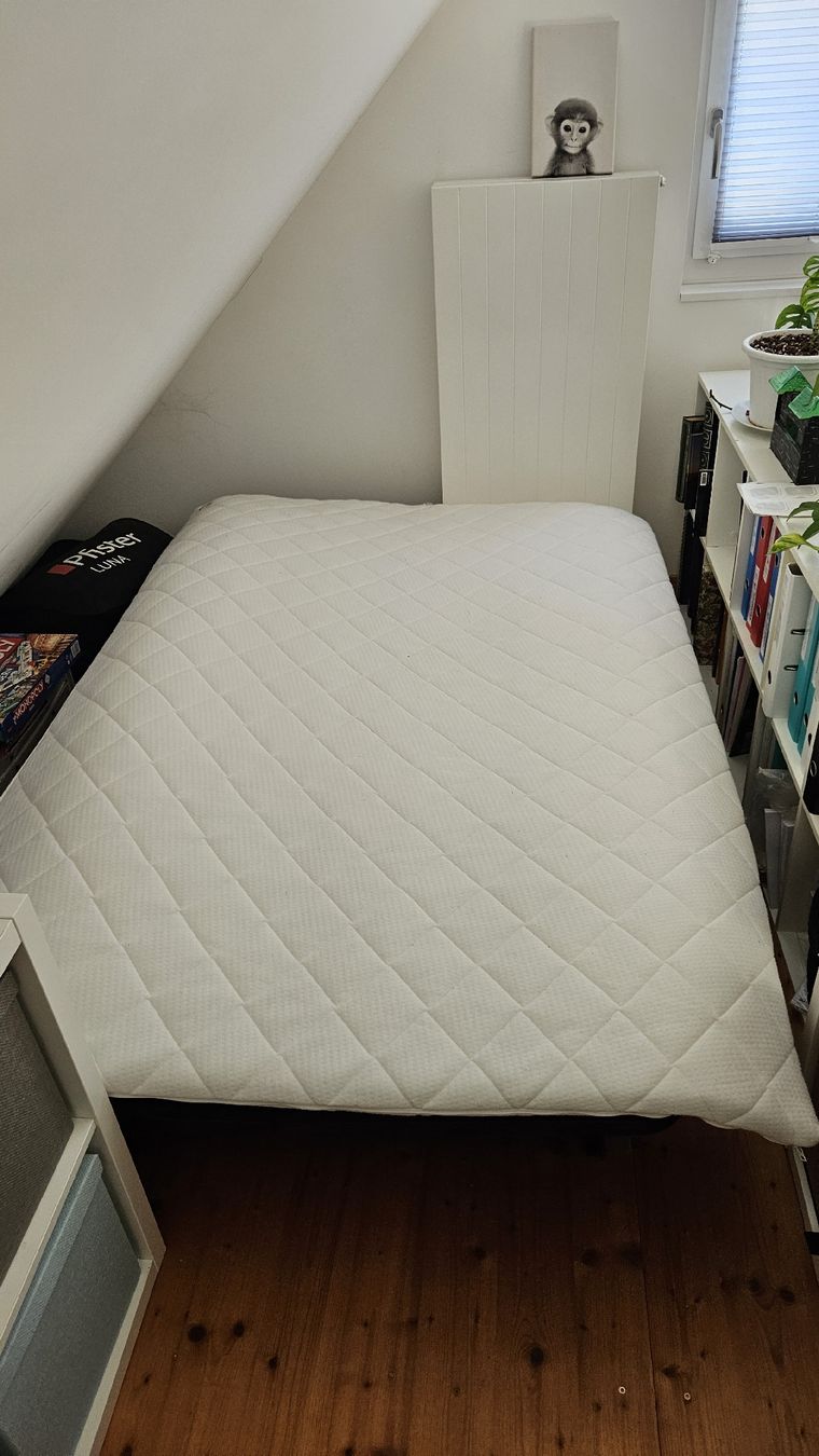 Divani: Bettsofa – Usato da Bern venduto da Freykwone 2