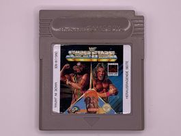 WF Super Stars - Game Boy - Getestet