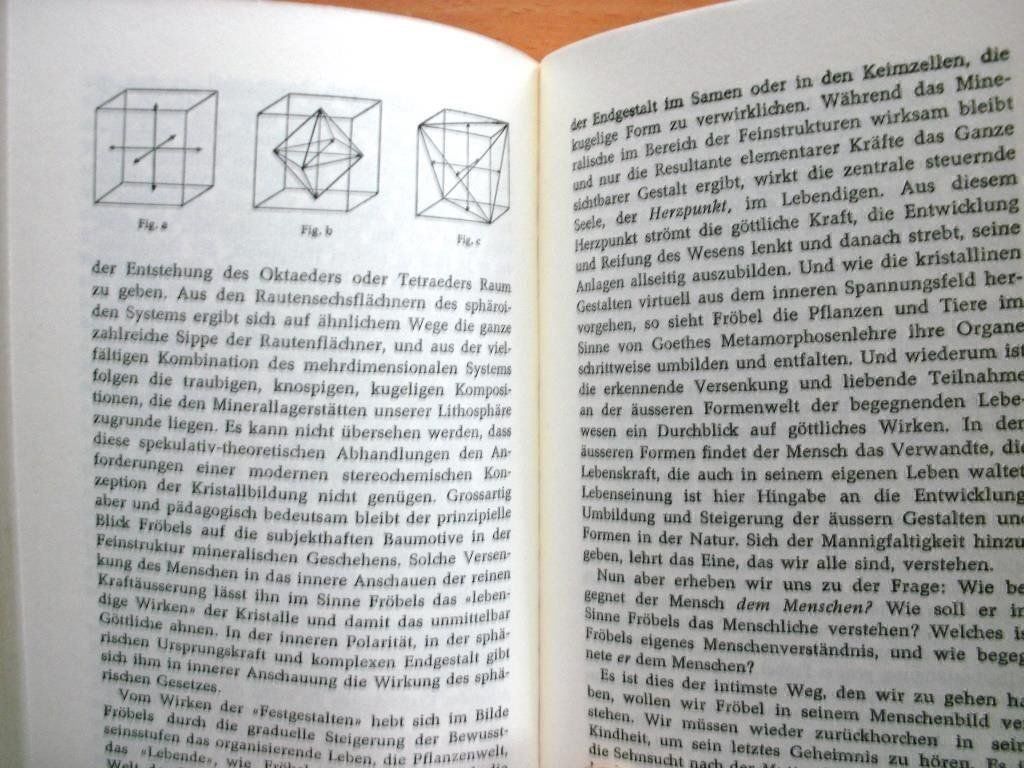 Libri: Vom Geist abendländischer Erziehung – Usato da Grenchen venduto da Kogi7 4