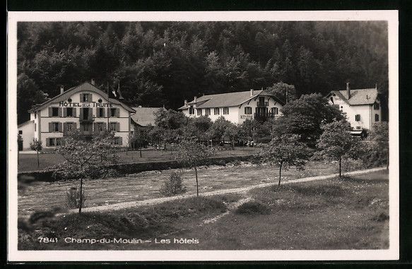 Ansichtskarten: AK Champ-du-Moulin, Les hotels – Gebraucht aus Berlin von bartko-reher