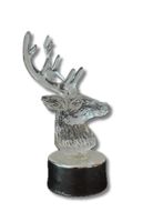 Hirsch