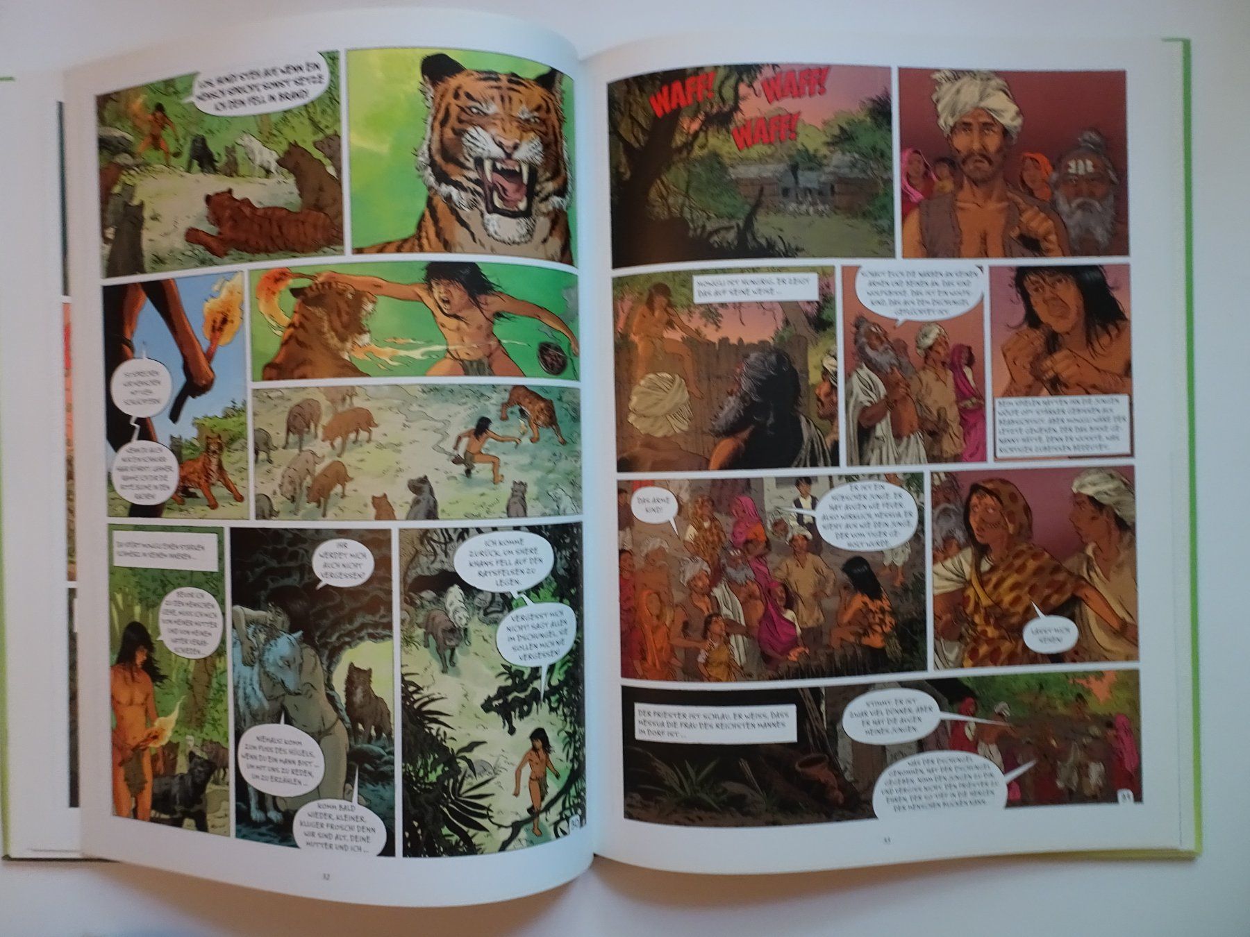 Comics: Brock Haus Literaturcomics Das Dschungelbuch Comic – Gebraucht aus Schönenwerd von schnitzunddrunter 4