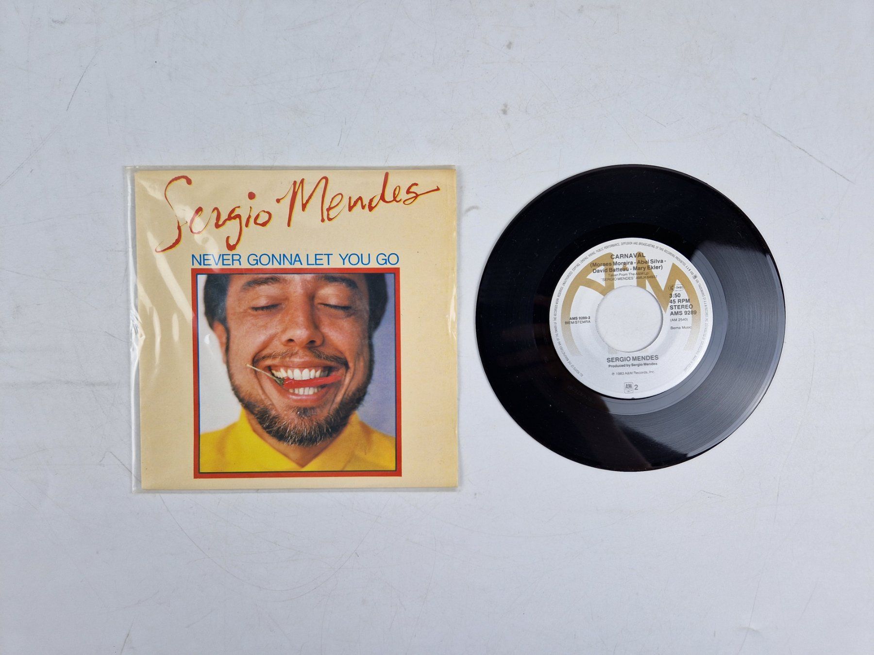 Dischi in vinile: Sergio Mendes (1 Single) – Usato da Muhen venduto da Restwert_Muhen 2