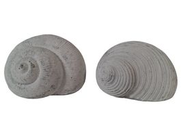 Skulpturen in Muschel- und Schneckenform (2er-Set)