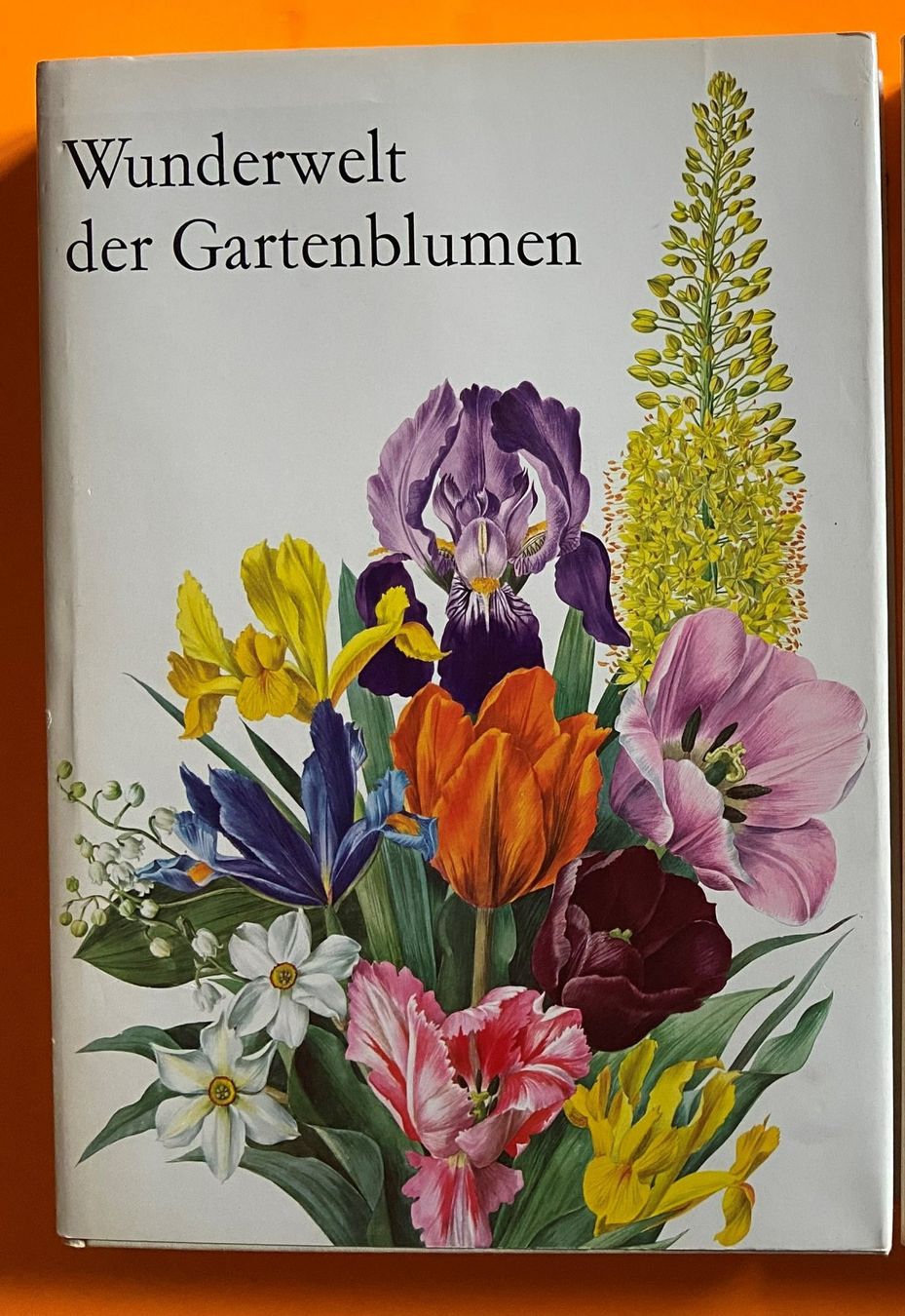 Bücher: 5 Silva Bücher mit eingeklebten Bildern – Gebraucht aus Böckten von Hansi36 4