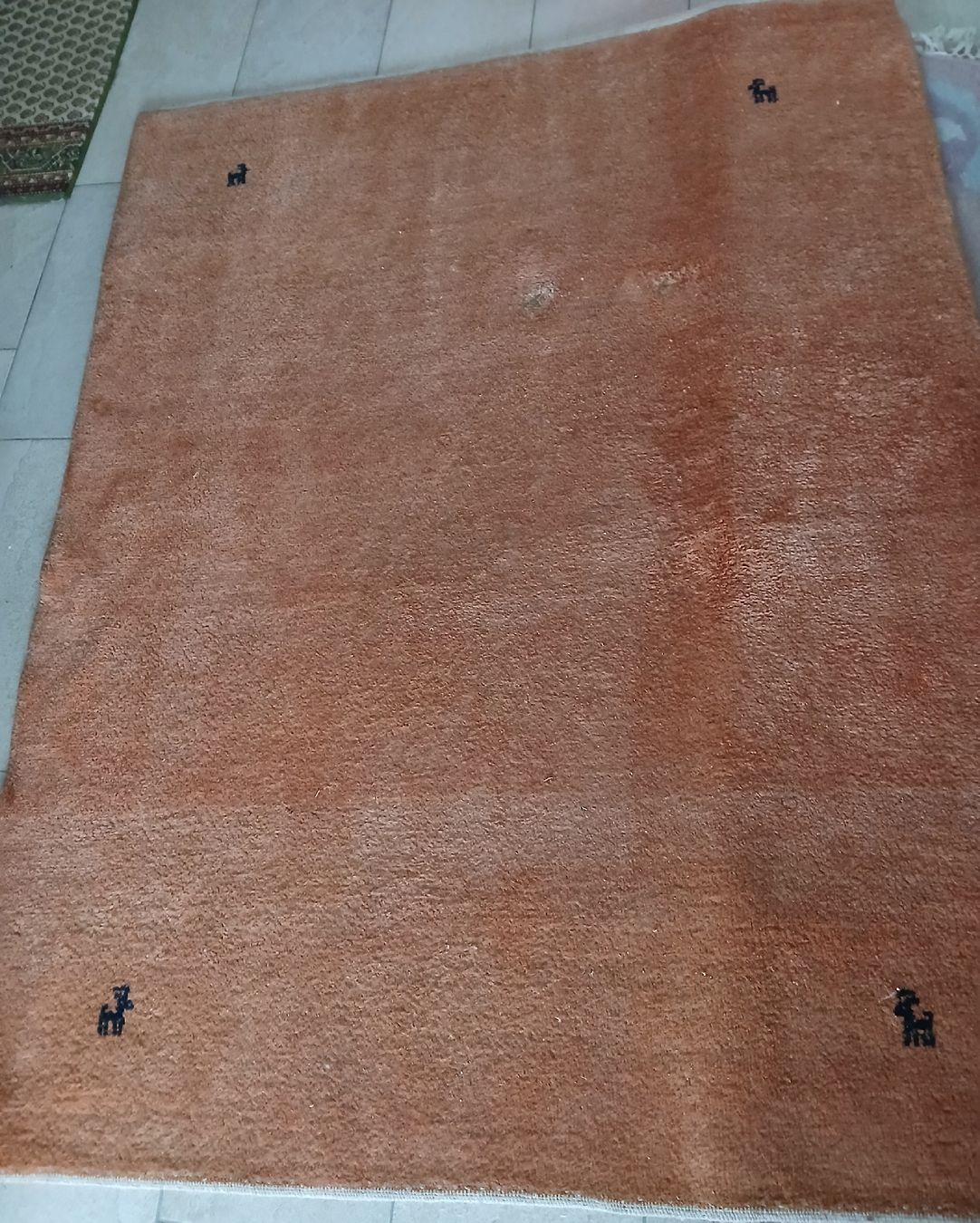 Gabbeh Tapis: Gabbeh Orientteppich Wolle, 150x192  – D'occasion à Frasnacht par ale_g288 5