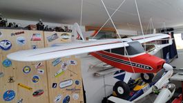 Multiplex Pacer RR Elapor Flugzeug neuer Zustand 