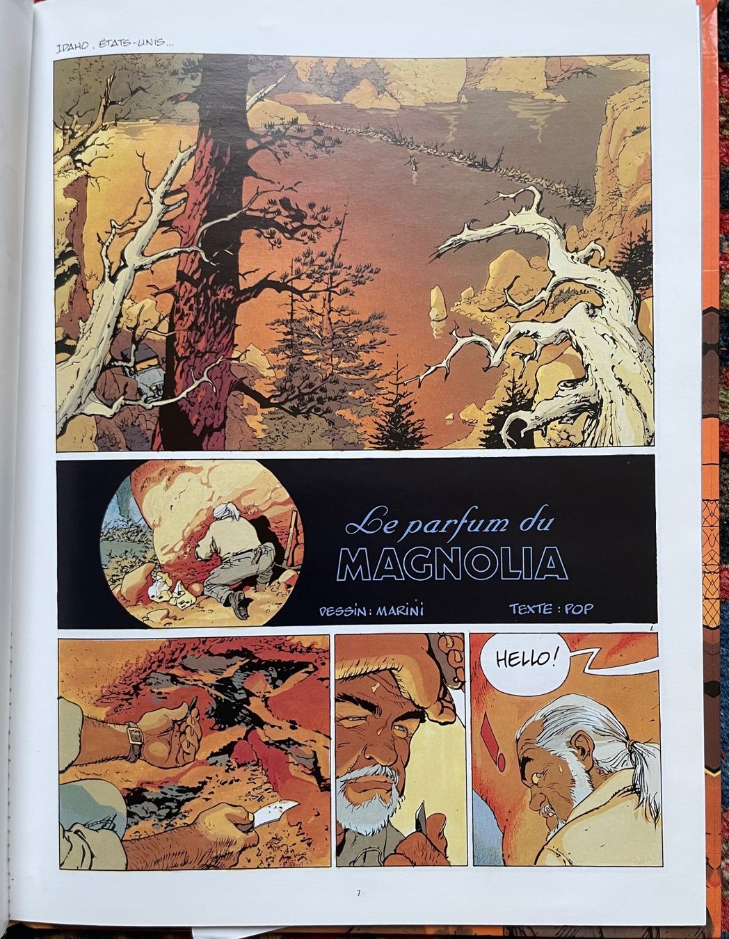 Comics: Marini le Parfum du magnolia + dessin – Gebraucht aus Biel/Bienne von  5