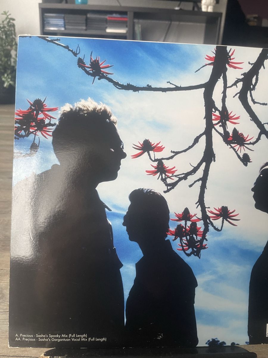 Dischi in vinile: Depeche Mode / Precous – Nuovo (secondo la descrizione) da Dagmersellen venduto da stonefinger 1