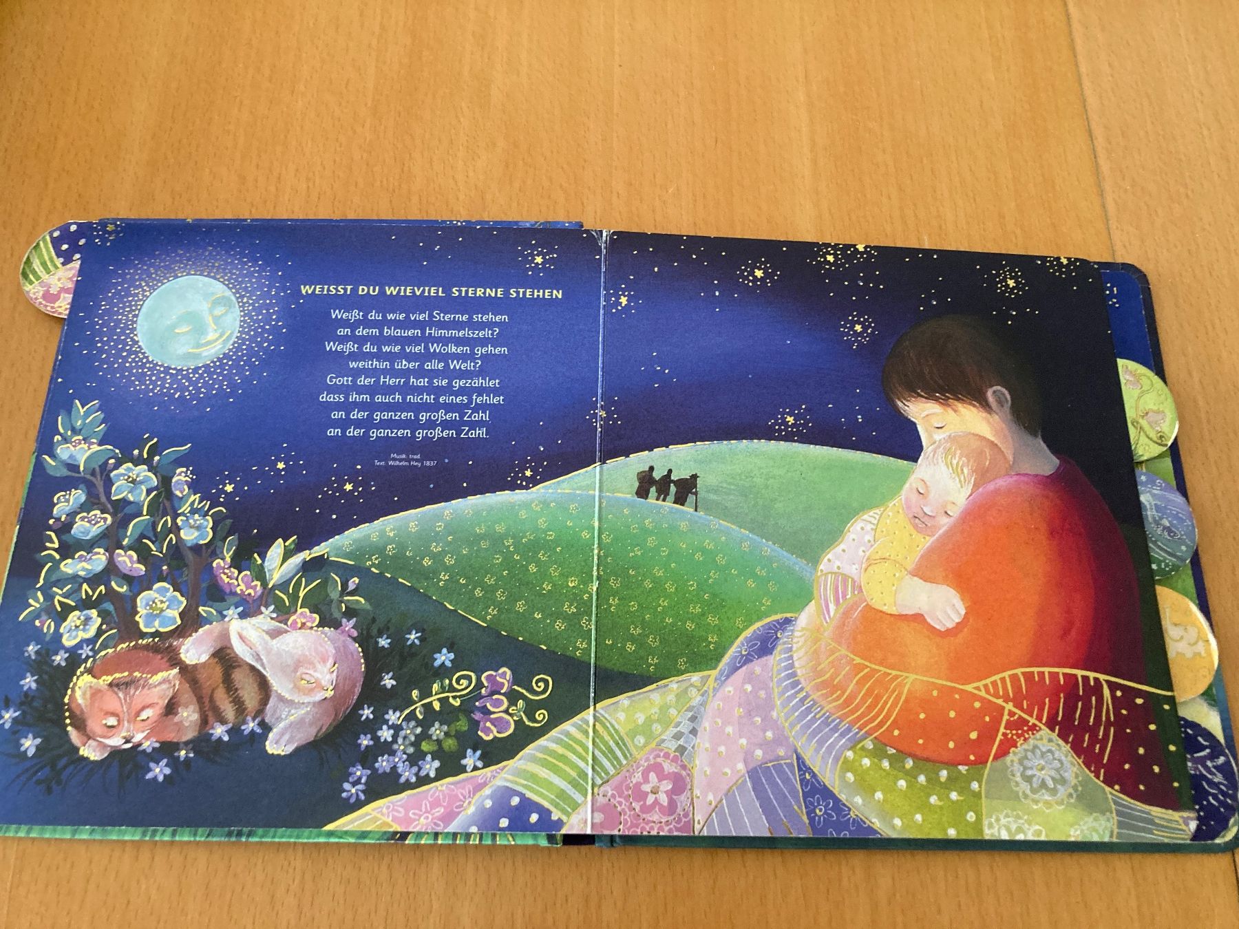 Libri: Kinderbuch: Meine liebsten Schlaflieder – Usato da Gelterkinden venduto da froggy80 1