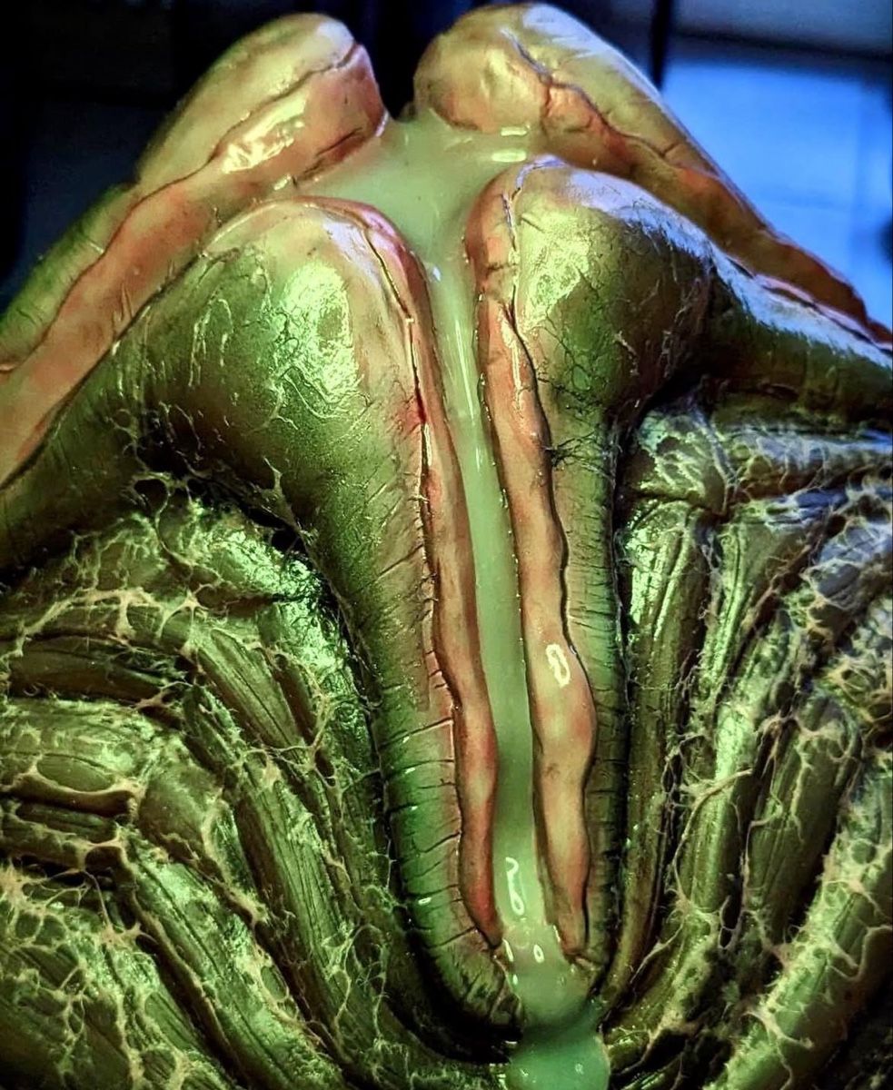 Statuette: ALIEN EI Lifesize, Sideshow, Coolprops Predator Horror Giger – Nuovo (secondo la descrizione) da Glattfelden venduto da Ak_5bL 2