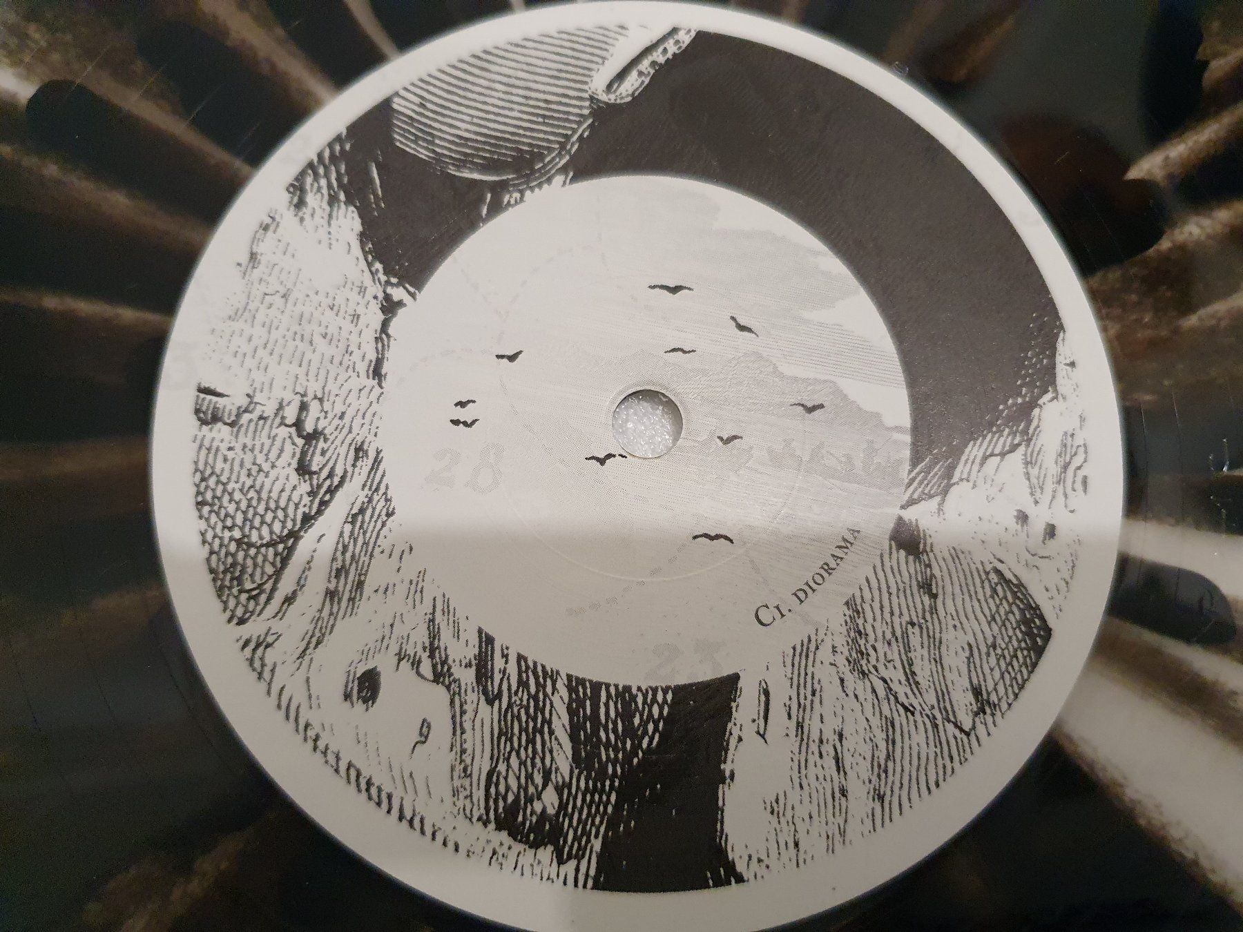 Dischi in vinile: Arktika – At Zero / 2 LP`s – Usato da Uster venduto da Vinyl-Leidenschaft 7