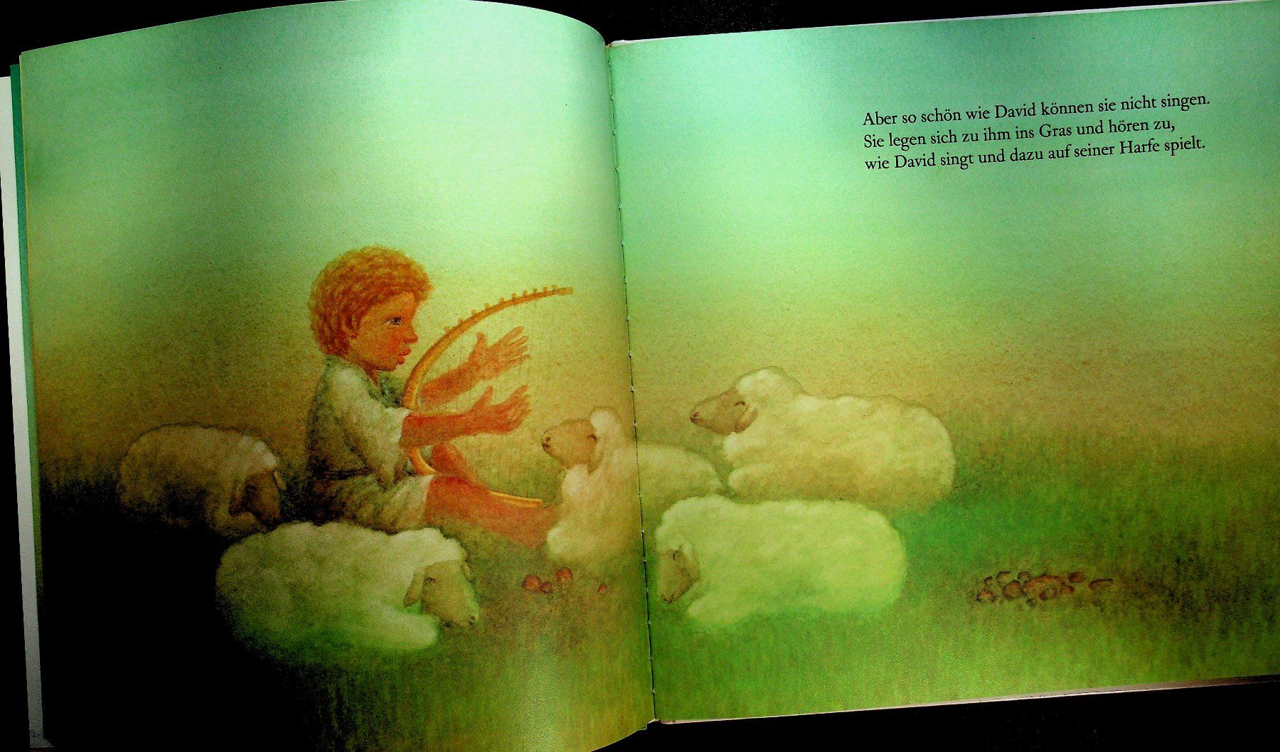 Libri: Masahiro Kasuya David singt Kinder Bilderbuch – Usato da Reitnau venduto da Zaomir 5
