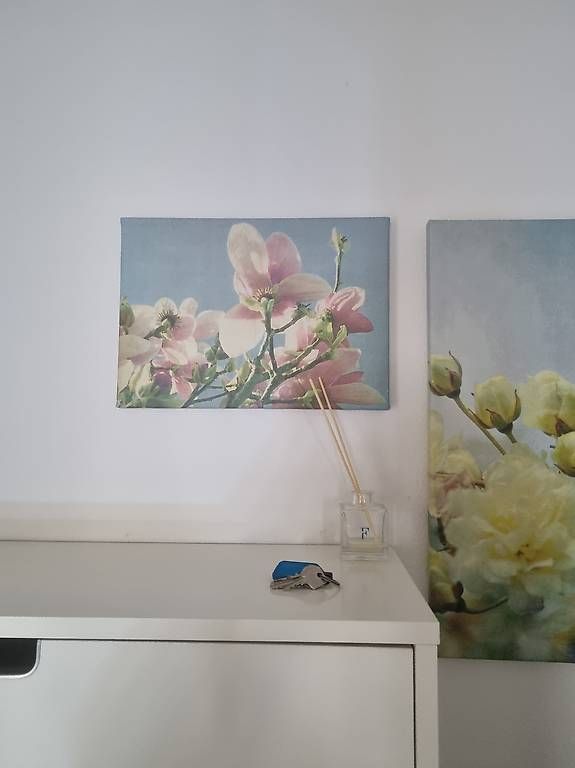 Altro per la casa: Accessori e oggetti per la casa – Usato da Pregassona venduto da ter_8n96 2