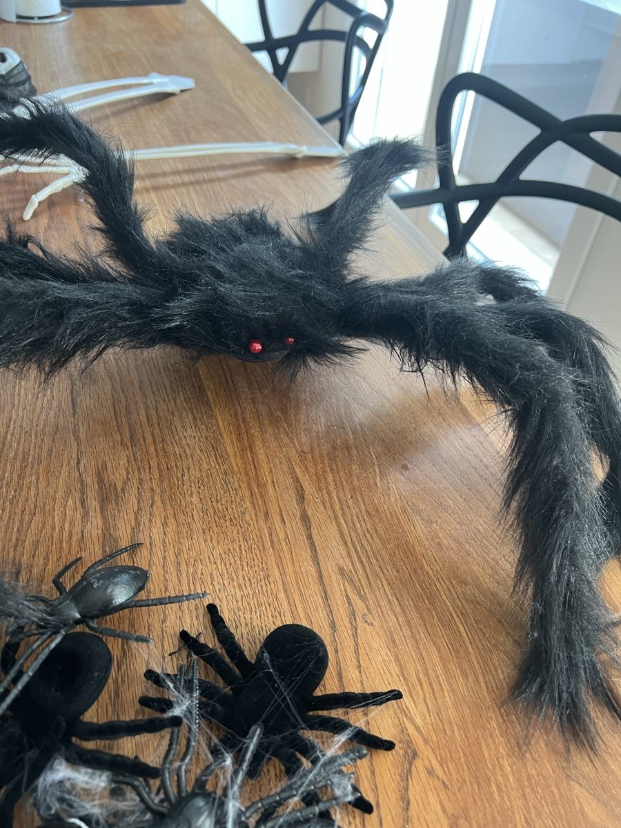 Toutes les décorations: Halloween Deko Set – D'occasion à Eglisau par Hermes10