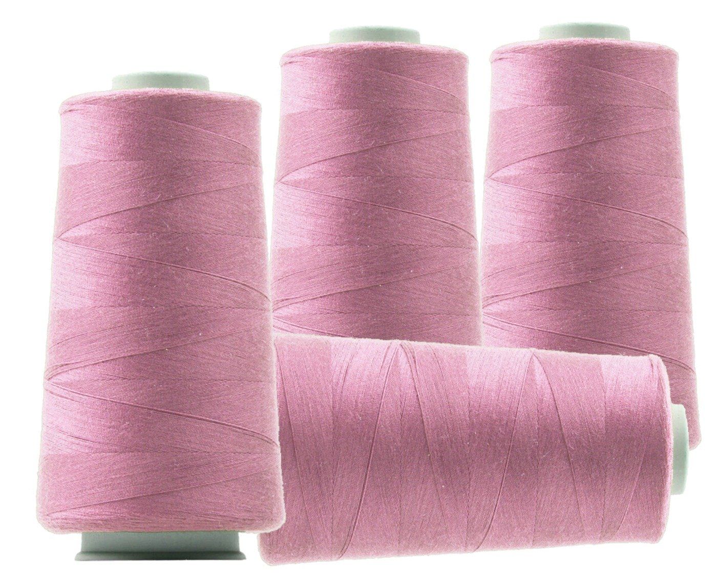 Cordicelle & Fili: Overlockgarn, 3000m, Polyester - altrosa 54 – Nuovo (secondo la descrizione) da Leimbach TG venduto da ziernaht