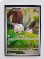 Togedemaru DE (104/094)