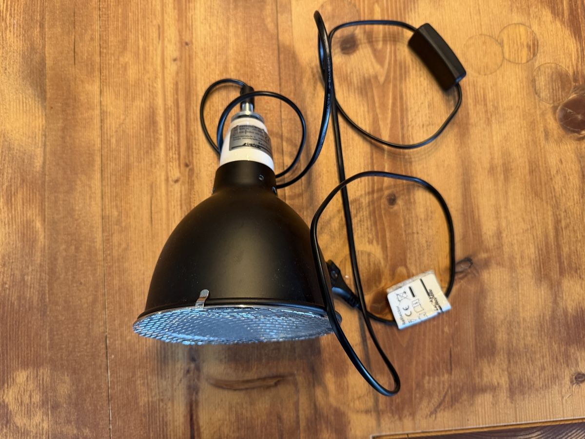 Terrario: Lampe für Terrarium – Nuovo (secondo la descrizione) da Bütschwil venduto da jon_jz72