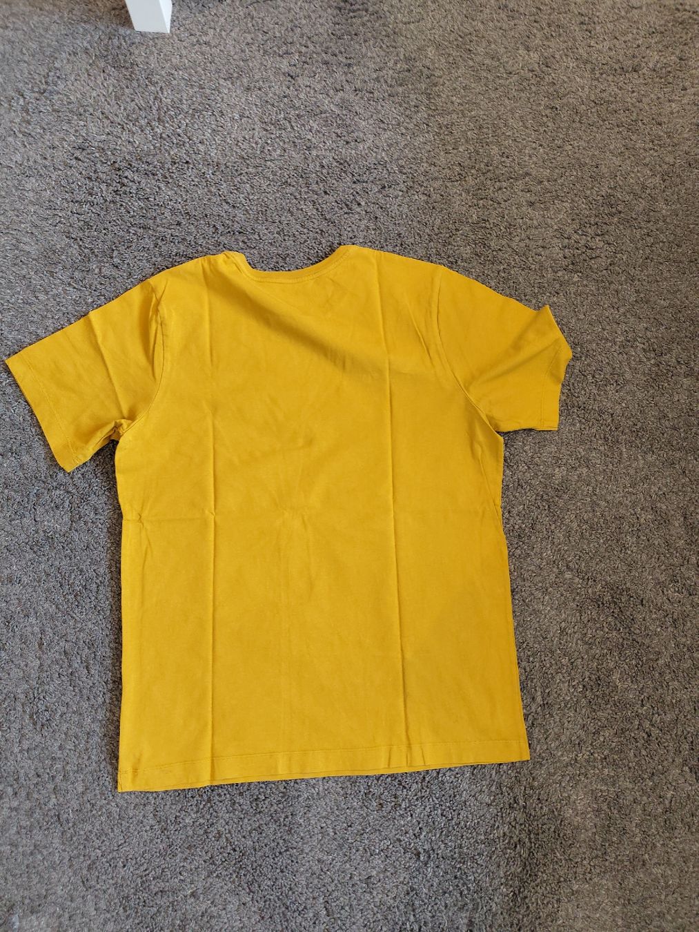 Arcteryx T-Shirts: T-Shirt Arc'teryx – Gebraucht aus Frutigen von 20silas02 2