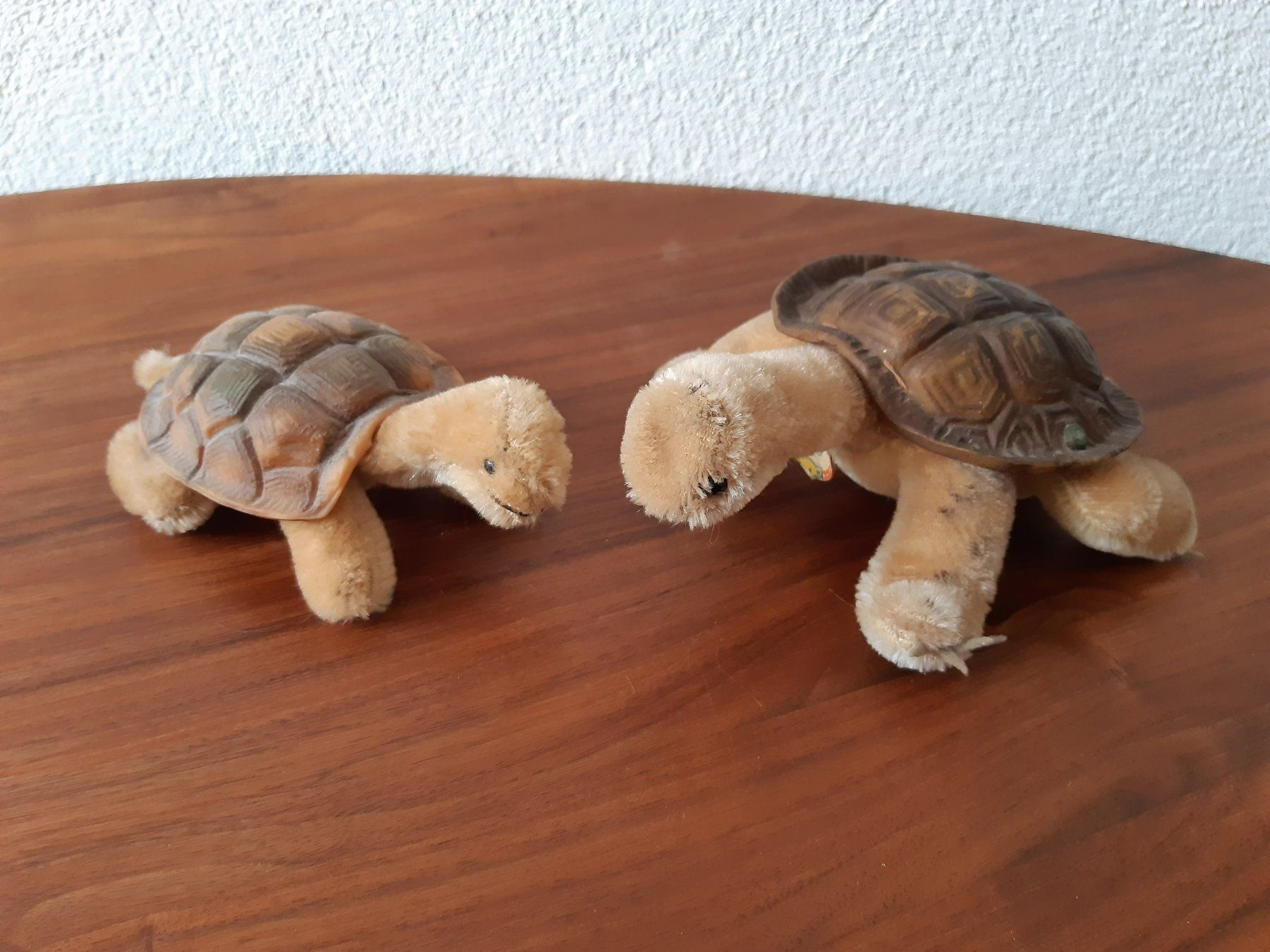 Steiff Giocattoli: Steiff 2 Schildkröten Gross und Klein – Usato da Aadorf venduto da Merlin111 2