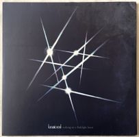 Lunatic Soul – Walking On A Flashlight Beam - 2 x LP - 2014