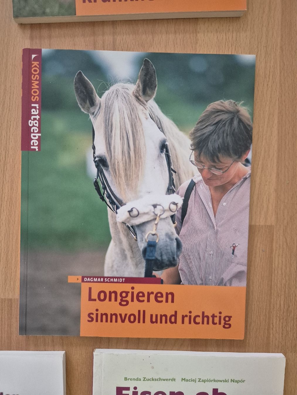 Briglie & Cavezze: Pferdefachbuch "Longieren, richtig und sinnvoll" – Usato da Meggen venduto da Orrinka20