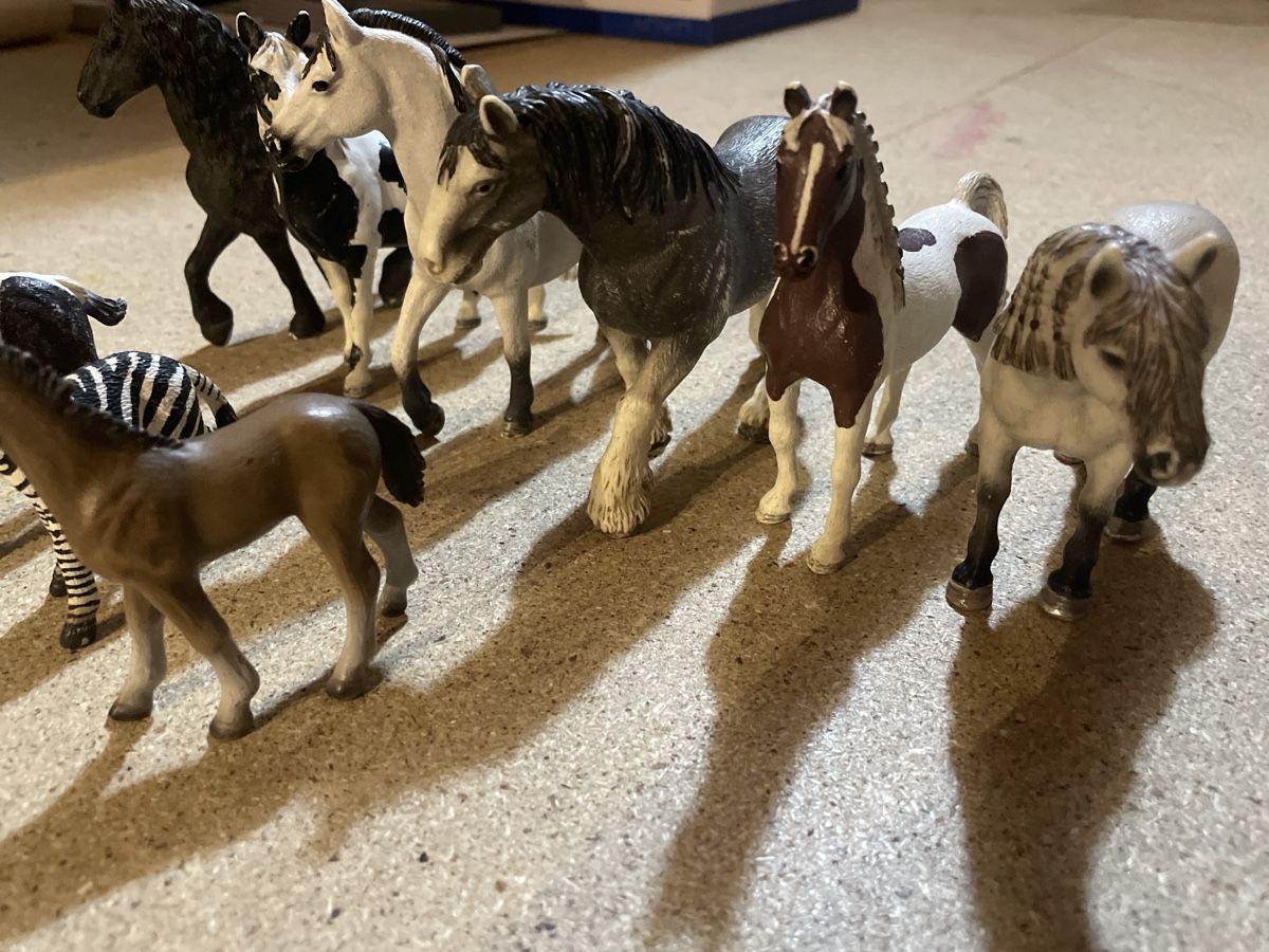 Schleich Spielzeuge: Schleichtier Set  – Gebraucht aus Niederhasli von nic_65cm 2